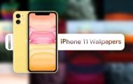 iPhone 11 Pro wallpapers